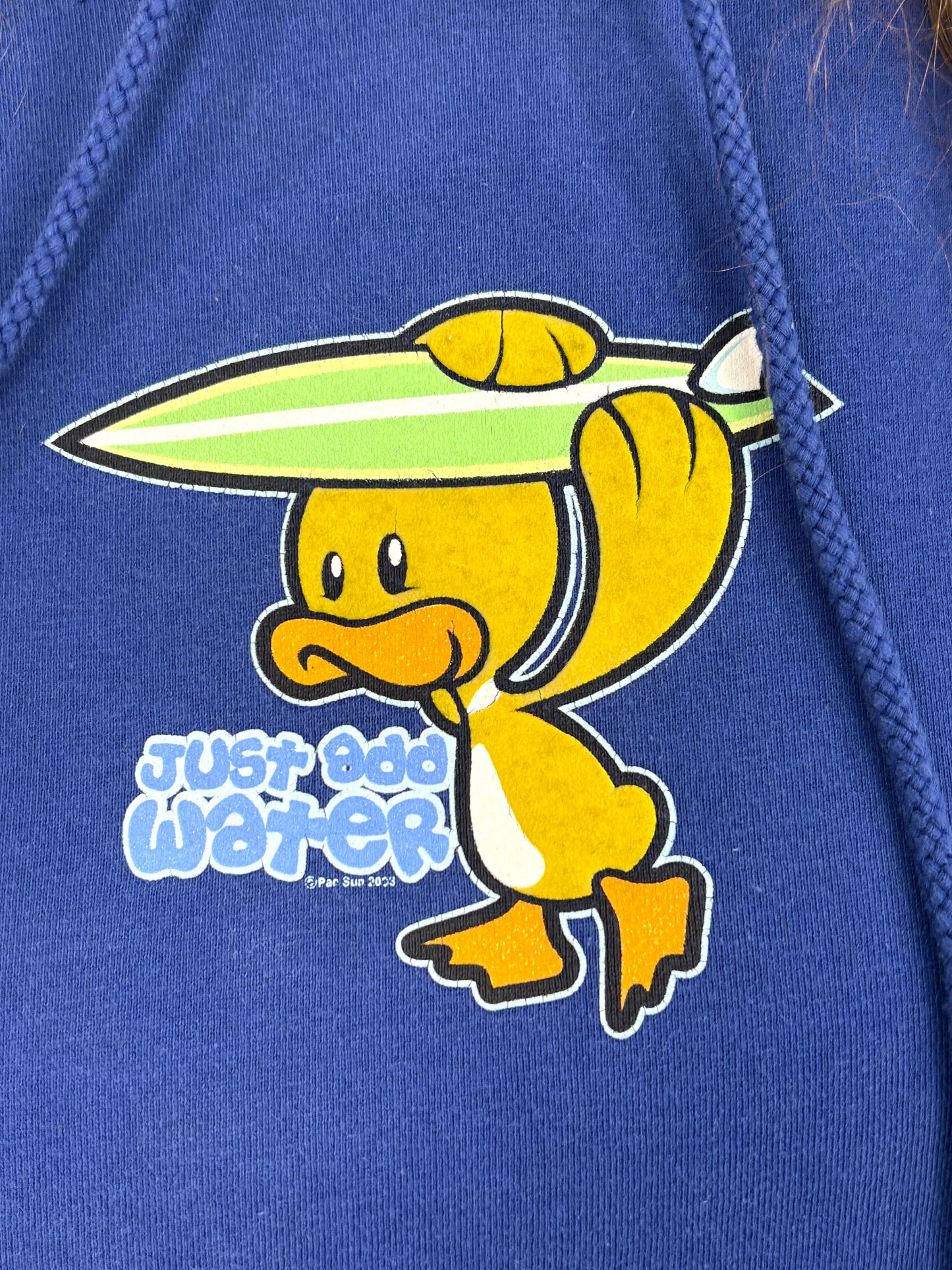 Y2K H20 JUST ADD WATER SWEATSHIRT